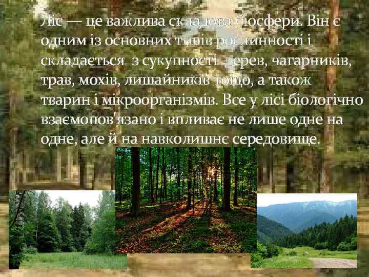 Ліс — це важлива складова біосфери. Він є одним із основних типів рослинності і