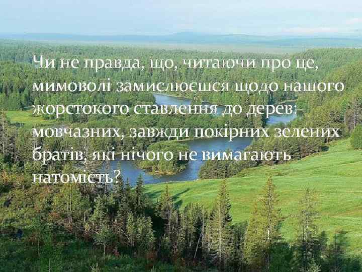 Чи не правда, що, читаючи про це, мимоволі замислюєшся щодо нашого жорстокого ставлення до