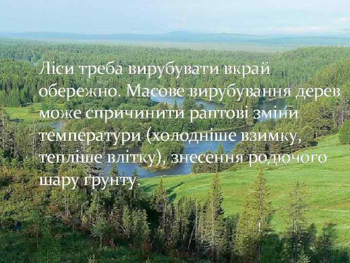 Ліси треба вирубувати вкрай обережно. Масове вирубування дерев може спричинити раптові зміни температури (холодніше