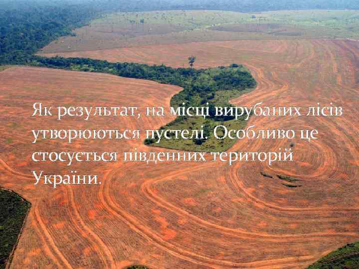 Як результат, на місці вирубаних лісів утворюються пустелі. Особливо це стосується південних територій України.