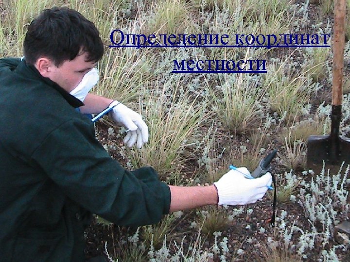 Определение координат местности 