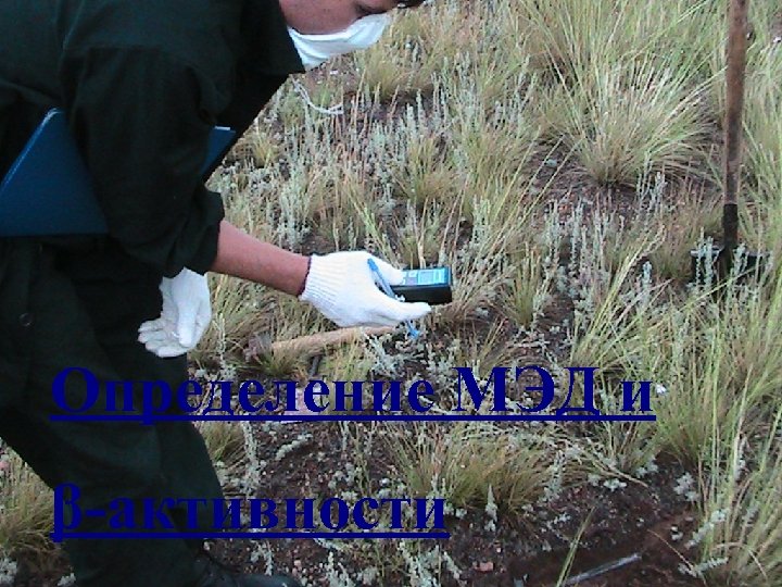 Определение МЭД и β-активности 