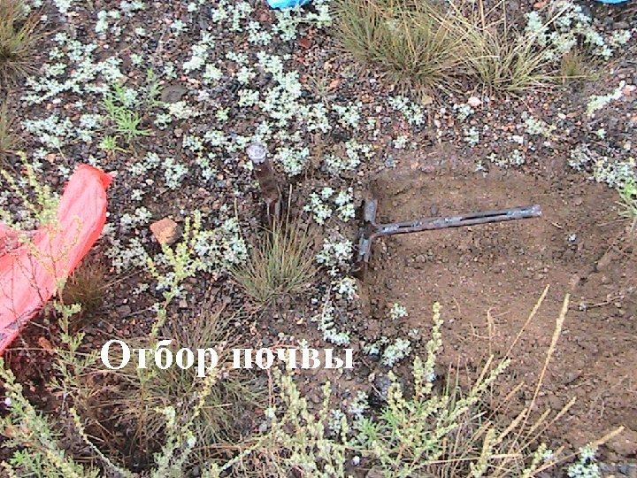 Отбор почвы 