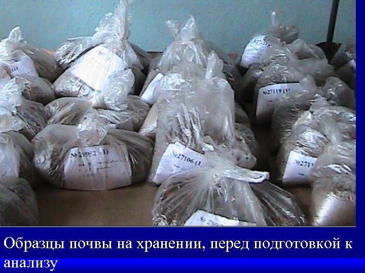 Образцы почвы на хранении, перед подготовкой к анализу 