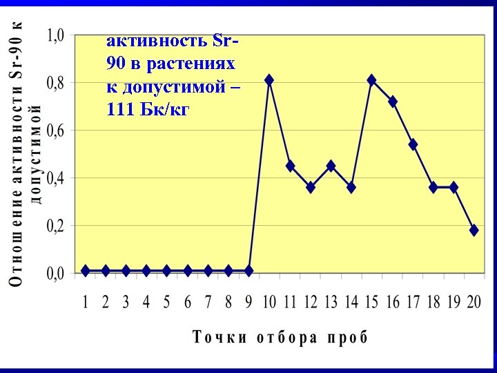 активность Sr 90 в растениях к допустимой – 111 Бк/кг 