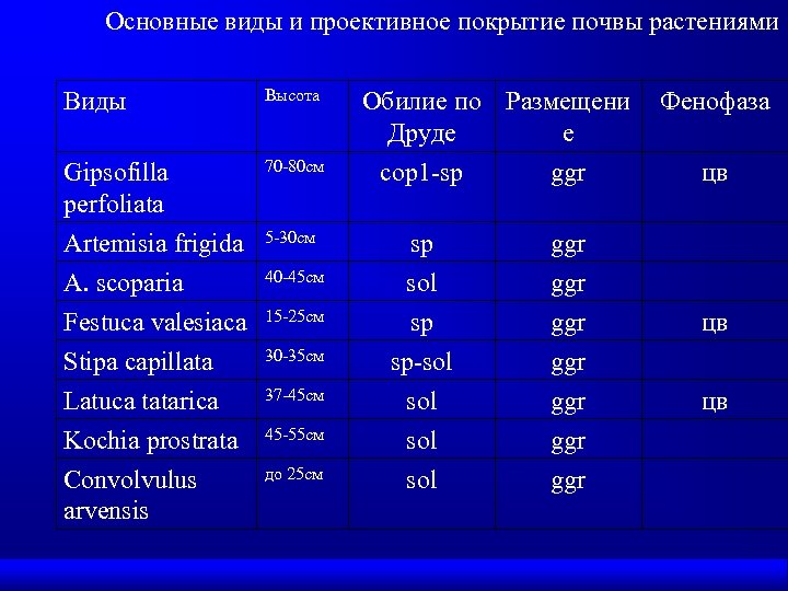 Основные виды и проективное покрытие почвы растениями Виды Высота Gipsofilla perfoliata 70 80 см