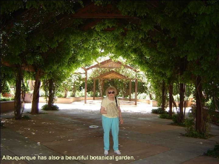 Albuquerque has also a beautiful botanical garden. 