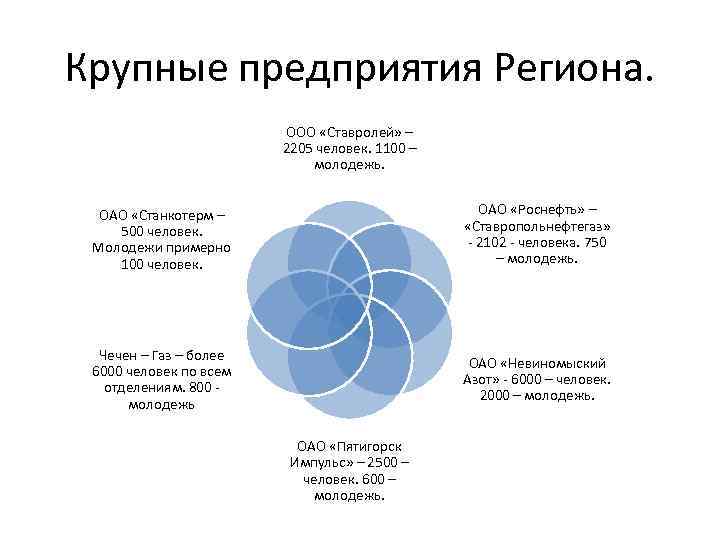 Крупные предприятия Региона. ООО «Ставролей» – 2205 человек. 1100 – молодежь. ОАО «Станкотерм –