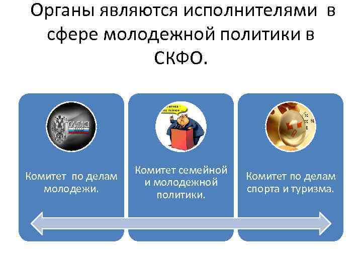  Органы являются исполнителями в сфере молодежной политики в СКФО. Комитет по делам молодежи.