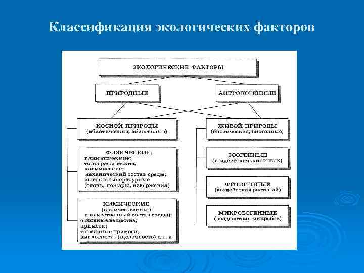 Классификация экологических факторов 