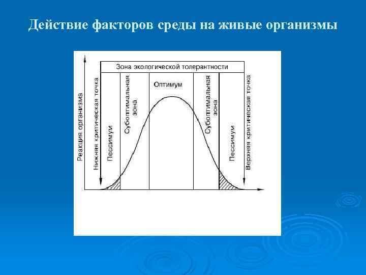 Схема лимитирующего фактора