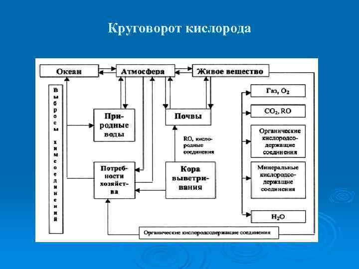 Схема круговорота кислорода в биосфере схема