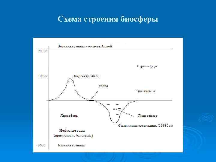 Схема строения биосферы 