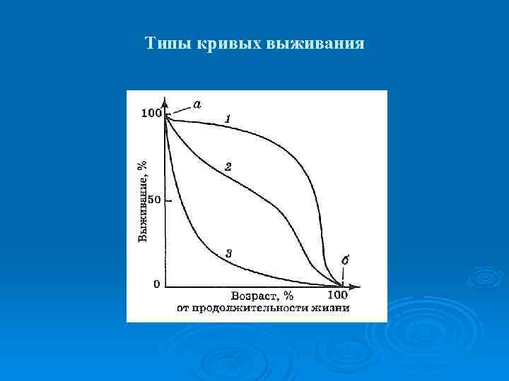 Виды кривых