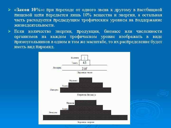  «Закон 10%» : при переходе от одного звена к другому в пастбищной пищевой