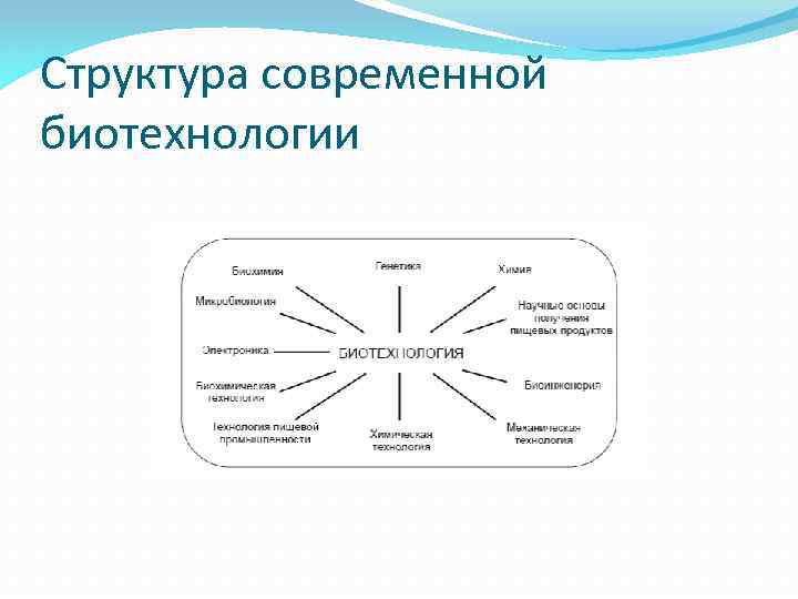 Структура современной биотехнологии 