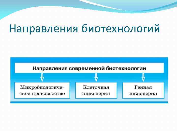 Направления биотехнологий 