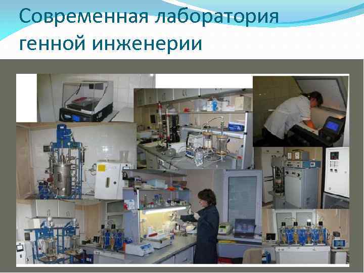 Современная лаборатория генной инженерии 