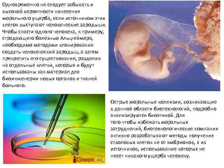 Одновременно не следует забывать и высокой вероятности нанесения морального ущерба, если источником этих клеток