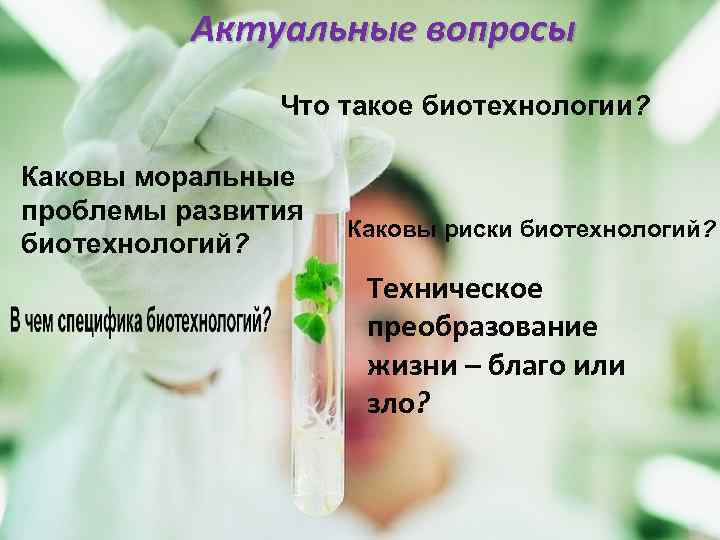 Актуальные вопросы Что такое биотехнологии? Каковы моральные проблемы развития биотехнологий? Каковы риски биотехнологий? Техническое