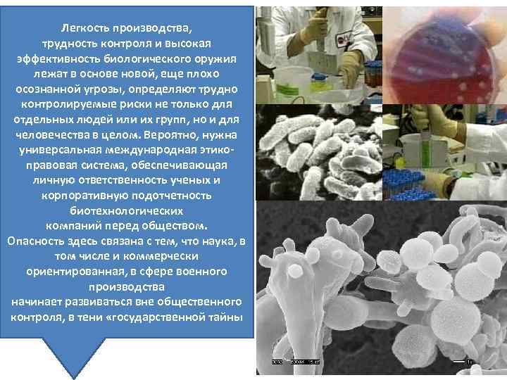 Легкость производства, трудность контроля и высокая эффективность биологического оружия лежат в основе новой, еще