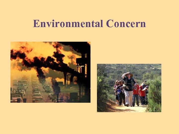Environmental Concern 