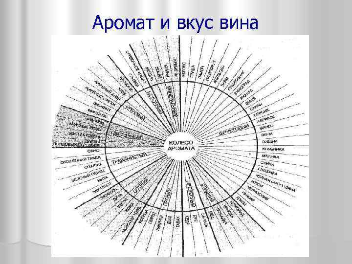 Карта вкусов вина