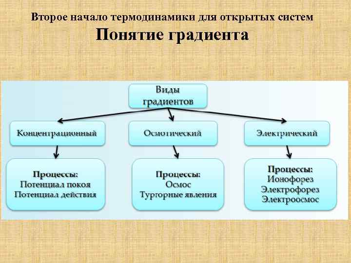 Второе начало термодинамики для открытых систем Понятие градиента 