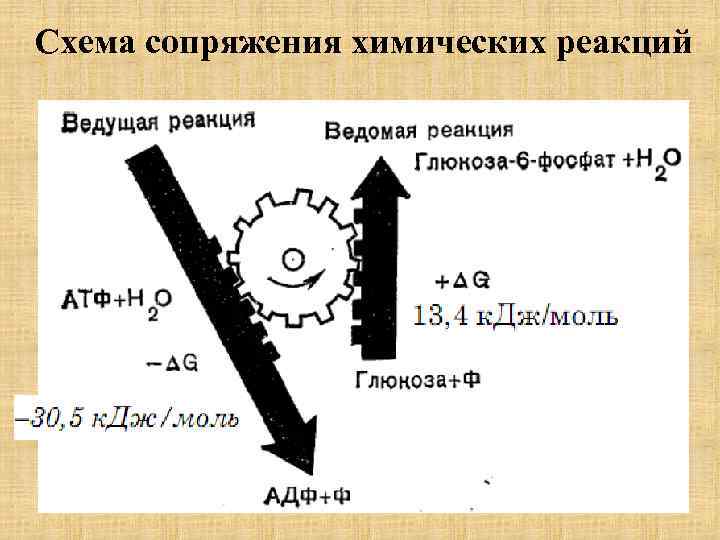 Схема сопряжения химических реакций 