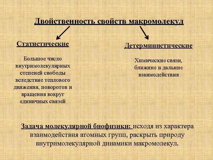 Двойственность свойств макромолекул Статистические Детерминистические Большое число внутримолекулярных степеней свободы вследствие теплового движения, поворотов