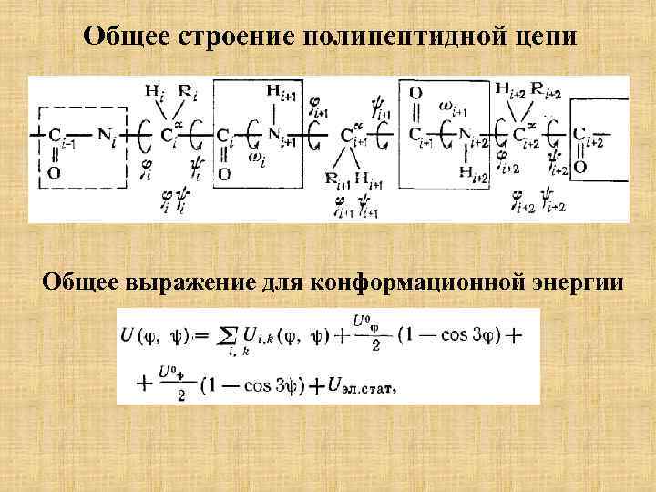 Общее строение полипептидной цепи Общее выражение для конформационной энергии 