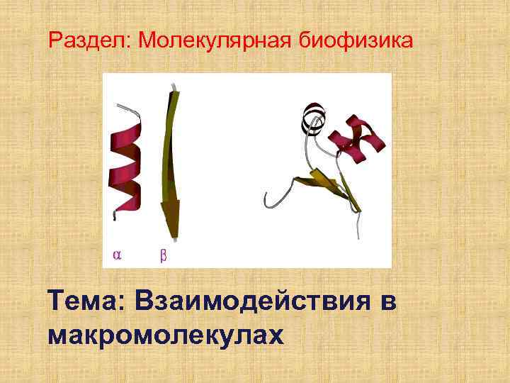 Раздел: Молекулярная биофизика Тема: Взаимодействия в макромолекулах 