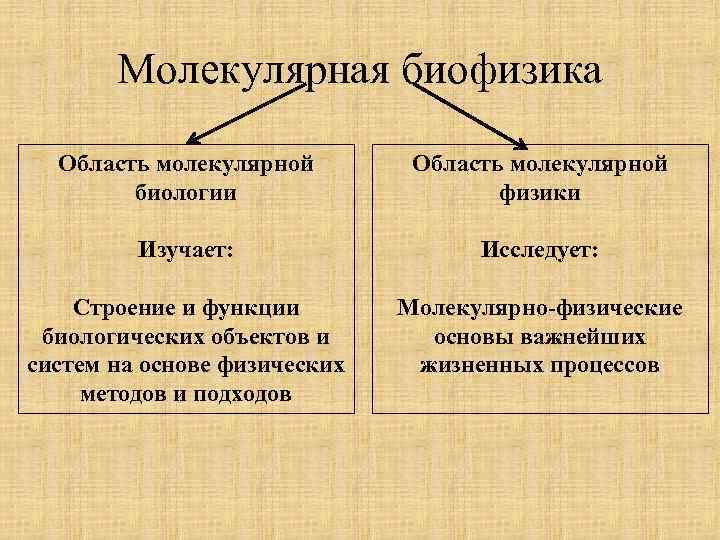 Молекулярная биофизика Область молекулярной биологии Область молекулярной физики Изучает: Исследует: Строение и функции биологических
