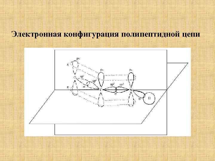 Электронная конфигурация полипептидной цепи 