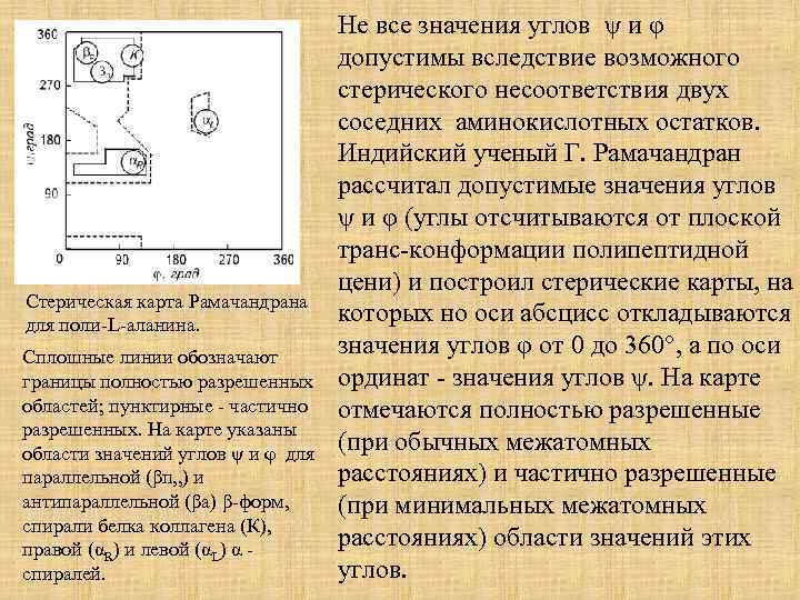 Стерическая карта Рамачандрана для поли-L-аланина. Сплошные линии обозначают границы полностью разрешенных областей; пунктирные -
