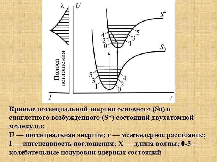 Кривые потенциальной энергии основного (So) и синглетного возбужденного (S*) состояний двухатомной молекулы: U —