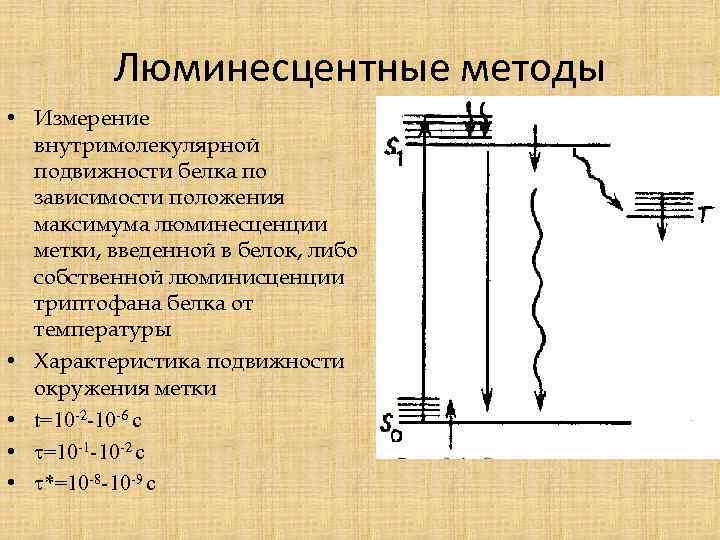 Люминесцентные методы • Измерение внутримолекулярной подвижности белка по зависимости положения максимума люминесценции метки, введенной