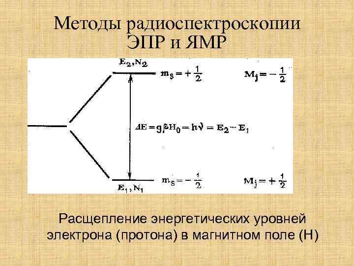 Методы радиоспектроскопии ЭПР и ЯМР Расщепление энергетических уровней электрона (протона) в магнитном поле (Н)