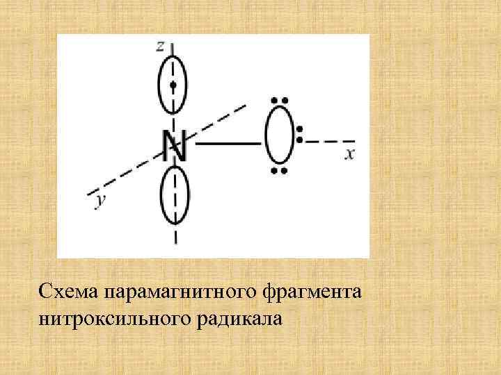 Схема парамагнитного фрагмента нитроксильного радикала 