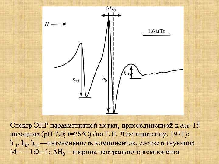 Спектр ЭПР парамагнитной метки, присоединенной к гис-15 лизоцима (р. Н 7, 0; t=26°C) (по