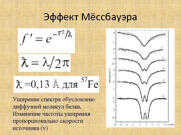 Эффект Мёссбауэра Уширение спектра обусловлено диффузией молекул белка. Изменение частоты уширения пропорционально скорости источника