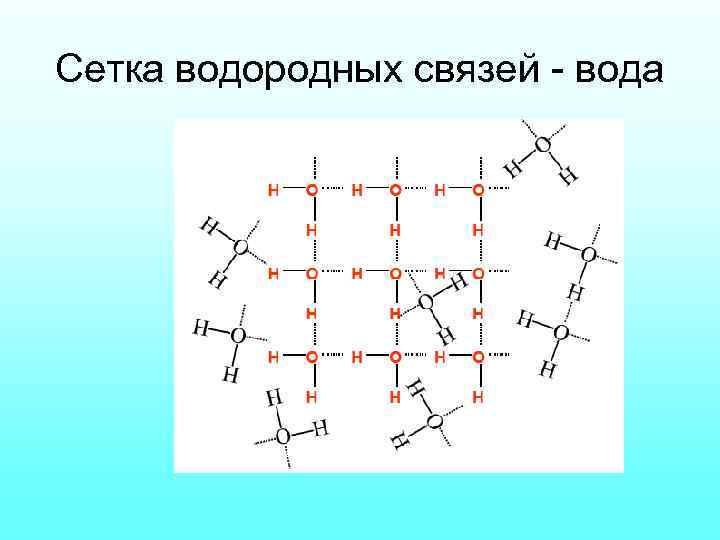 Сетка водородных связей - вода 