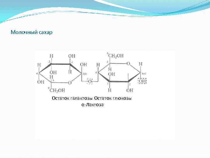 Молочный сахар Остаток галактозы Остаток глюкозы α Лактоза 