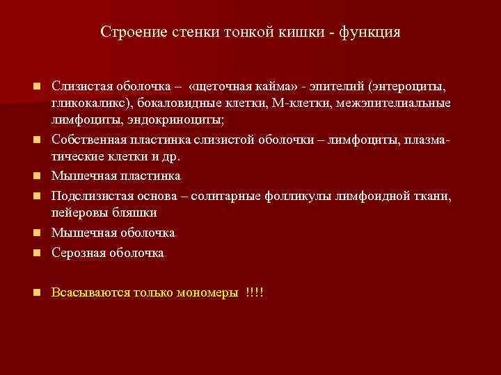 Строение стенки тонкой кишки - функция n Слизистая оболочка – «щеточная кайма» - эпителий