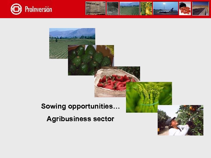 Sowing opportunities… Agribusiness sector 