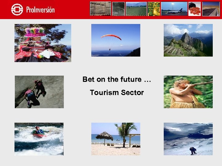 Bet on the future … Tourism Sector 