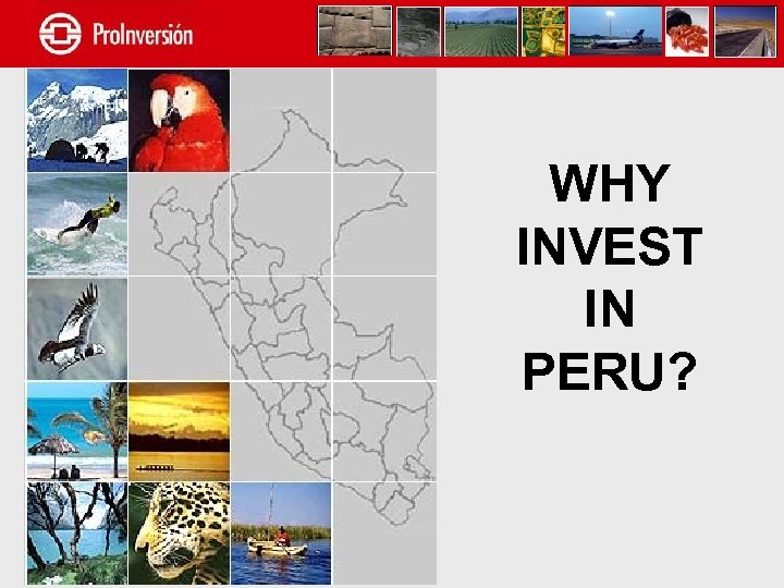WHY INVEST IN PERU? 