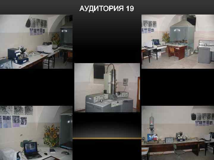 АУДИТОРИЯ 19 