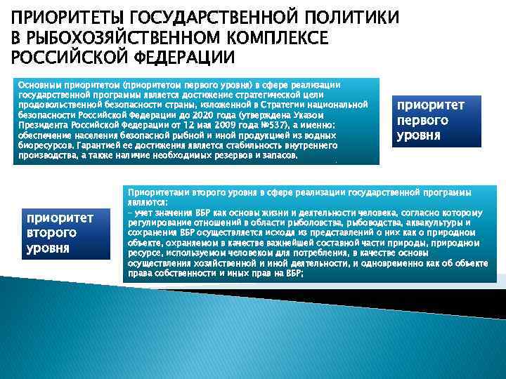 ПРИОРИТЕТЫ ГОСУДАРСТВЕННОЙ ПОЛИТИКИ В РЫБОХОЗЯЙСТВЕННОМ КОМПЛЕКСЕ РОССИЙСКОЙ ФЕДЕРАЦИИ Основным приоритетом (приоритетом первого уровня) в