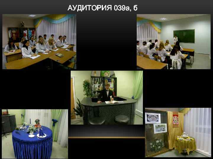 АУДИТОРИЯ 039 а, б 